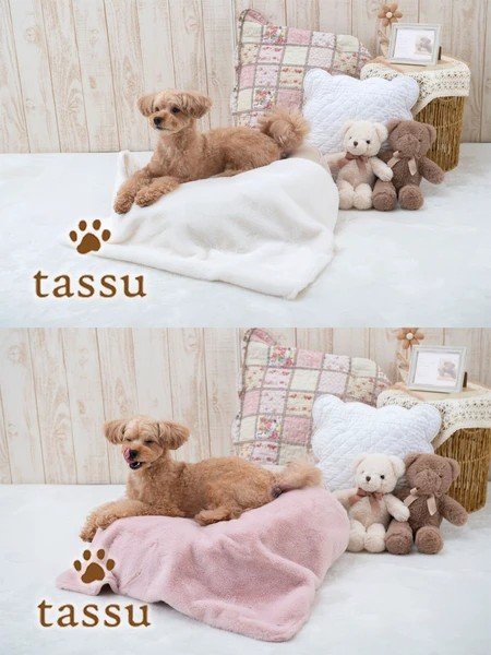 画像3: ブランケット mimi ペットベッド tassu タッス　ピンク (3)